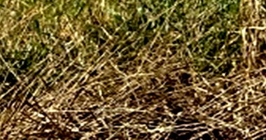 Terreno 300m² no Jardim Monte Líbano