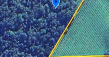 Terreno desocupado com 43.750m² em Linha Santana