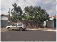 Terreno urbano 300m² em Santa Cruz da Conceição - SP
