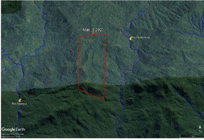 Terreno Rural de 241 hectares em Guaraqueçaba - PR