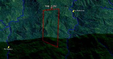 Terreno Rural de 241 hectares em Guaraqueçaba - PR