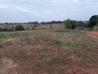 Imóvel Rural com 3 lotes na Gleba São Vicente