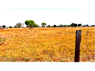 Fazenda com 764,72 hectares e benfeitorias