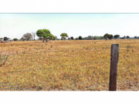Fazenda com 764,72 hectares e benfeitorias