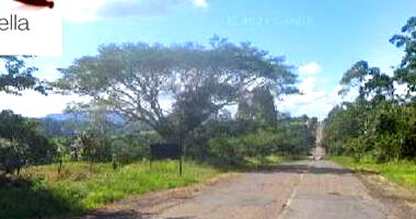 Imóvel Rural em Cajueiro com Grande Potencial