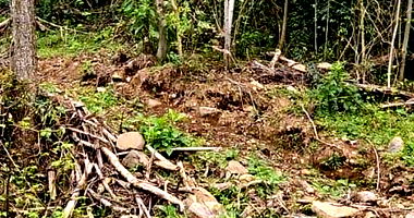 Terreno Urbano com 465,46m² em Nova Petrópolis/RS