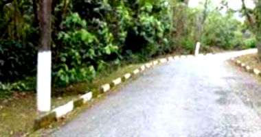 Terreno amplo de 1270m² no Jardim Algarve, Cotia, ideal para investimento