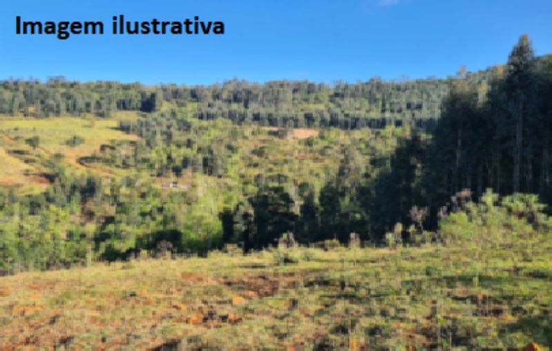 Terreno rural com 217.800 m², 50% floresta, sem benfeitorias