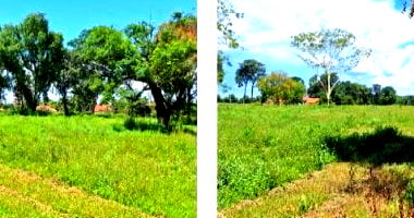 Chácara Santos Reis - Área Rural de 9 ha em Cardoso - SP