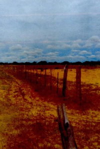 Sítio Melancia com 20 Hectares na Zona Rural de Casa Nova/BA