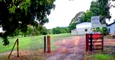 Gleba Rural 100,86 hectares em Talismã/TO - Oportunidade Única