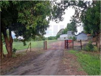 Gleba Rural 100,86 hectares em Talismã/TO - Oportunidade Única
