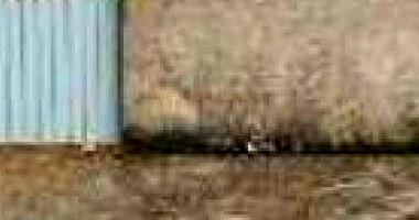 Casa com 47 m² em Cocalzinho de Goiás - Residencial Itamar Nobrega II