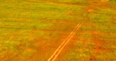 Área Rural em Conceição do Araguaia - Fazenda Clarão da Lua