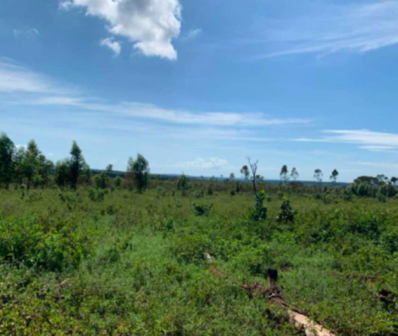 Imóvel Rural com 15,47 Hectares em Lagamar/MG