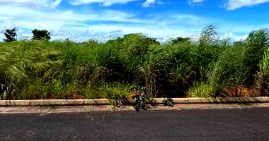 Terreno com 600m² em Goiatuba/GO