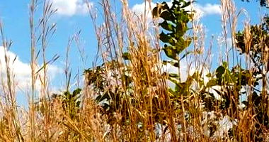 Terreno Urbano com 300m² em Luziânia/GO