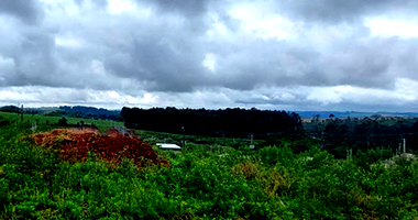 Terreno em Xaxim com 307,20m²