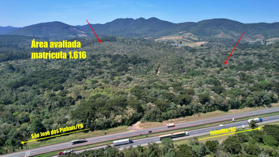 Imóvel Rural com 23 Alqueires em Tijucas do Sul