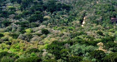 Imóvel Rural com 23 Alqueires em Tijucas do Sul