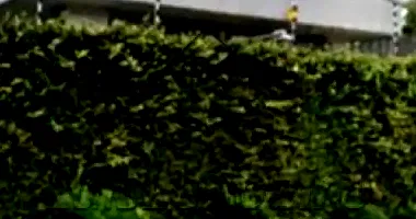 Casa com 489,60m² de área construída em São Paulo