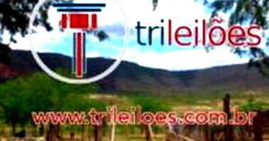 Gleba de Terras com 8,90ha em Ipubi/PE