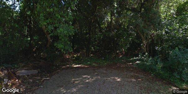 Terreno amplo em Porto Alegre com 1.010m² e vegetação