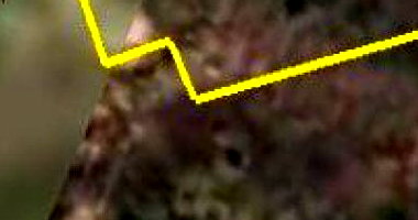 Área Rural com 9,8485 ha, ocupada, com benfeitorias