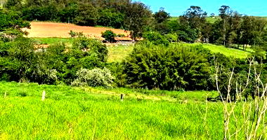 Imóvel Urbano Lote 02C com 164m² em Tomazina/PR