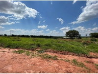 Terreno em Leilão - Reserva dos Equestres