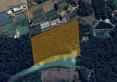 Imóvel Rural de 4 hectares sem benfeitorias