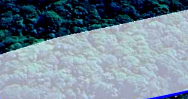 Terreno de 1 Hectare em Ouro Fino/MG