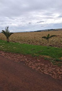 Parte ideal de chácara com 4.900 m² em Nova Santa Rosa