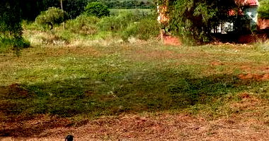 Terreno com 250m² em Terra Roxa/PR