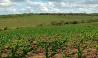 Fazenda Fortuna - Propriedade Rural com Acesso a Luz Elétrica