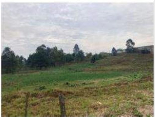 41 Lotes de Terreno em Araucária/PR - Área Total 35.000m²