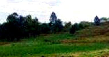 41 Lotes de Terreno em Araucária/PR - Área Total 35.000m²