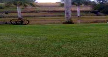 Terreno Rural com Galpão e Casa em Ibirama - SC