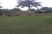 Terreno Rural com Galpão e Casa em Ibirama - SC