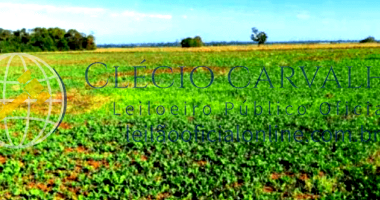 Fração Ideal Sítio Santa Bárbara - 10,72 hectares em Iepê - SP