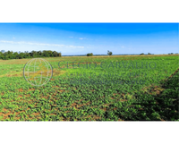 Fração Ideal Sítio Santa Bárbara - 10,72 hectares em Iepê - SP