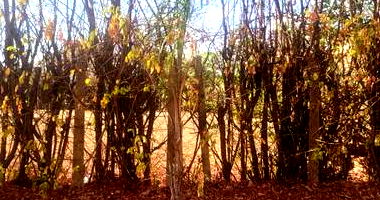 Lote de Terreno com 1.058,65 m² em Condomínio Fechado