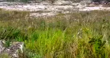 Terreno Amplo em Camaçari - Espaço Alfa