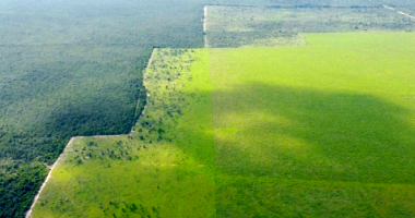 Fazenda com 232,40 hectares em Brasnorte/MT