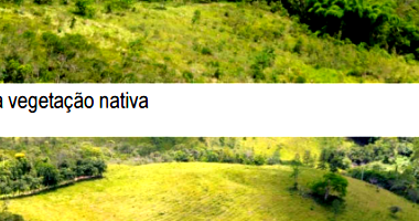 Sítio com 4 casas e 3 galpões em 80 hectares, área construída total 630m²