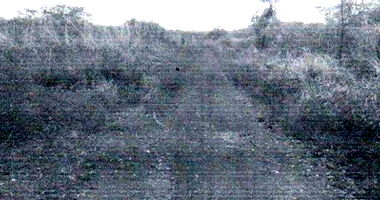 Fazenda Jerusalém com 1007,15 hectares em Monte Santo do Tocantins