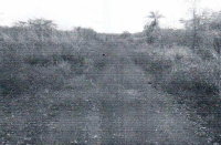 Fazenda Jerusalém com 1007,15 hectares em Monte Santo do Tocantins