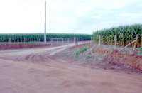 Fazenda com 221 hectares em Castro-PR - Oportunidade Imperdível!