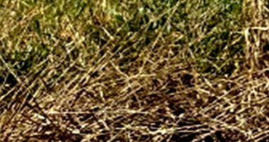 Terreno 300m² no Jardim Monte Líbano