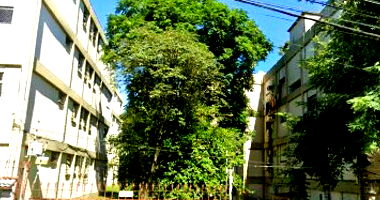 Apartamento 206 no Centro de Santa Maria - Ocupado